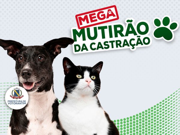 Próximo Mega Mutirão da Castração abre inscrições com vagas limitadas!