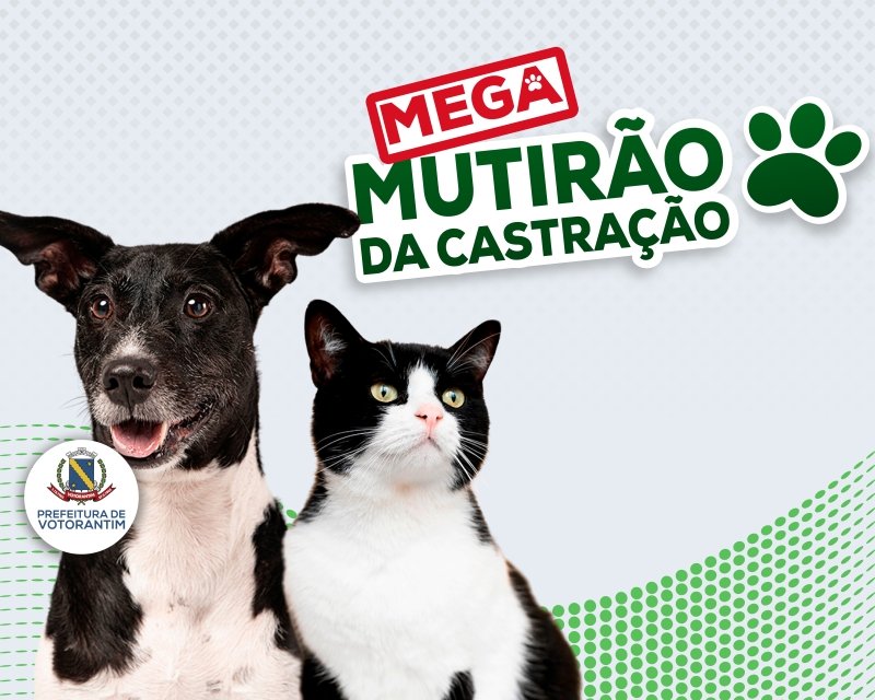 Próximo Mega Mutirão da Castração abre inscrições com vagas limitadas!